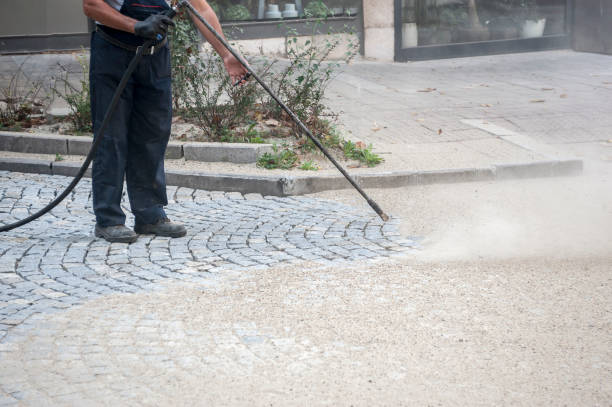 Best Pre-Holiday Cleaning  in Moncks Corner, SC